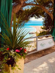 uma vista para a praia a partir de um resort com flores em Zlatni Rat Beach Resort em Bol