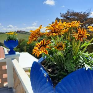 Ein Garten an der Unterkunft Lispusada Agriturismo Adults Only