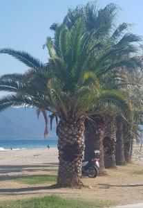 Φυσικό τοπίο κοντά σε αυτό το διαμέρισμα