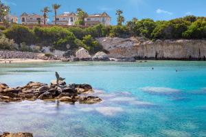 a bird sitting on some rocks on a beach at Villa Nova in Protaras