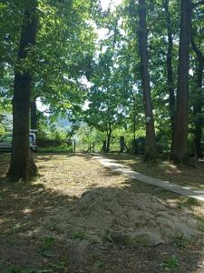 Jardín al aire libre en Vikendica u šumi - Kosmaj