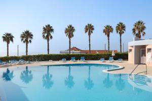 uma grande piscina com palmeiras ao fundo em Cantinho da Sara em Portimão