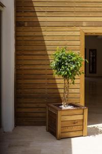 a potted tree in a box in front of a wooden wall at Costa Maya Bodrum in Bodrum City
