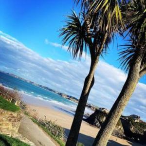 two palm trees on a beach near the ocean at Sunny family 5-sleeper near Newquay’s top beaches in Newquay