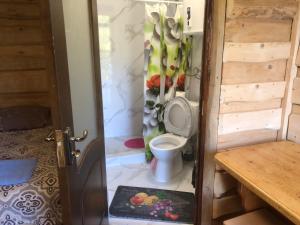a small bathroom with a toilet in a room at Аляска in Oryavchyk
