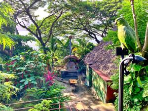 un perroquet assis sur le côté d'un bâtiment dans l'établissement Casa Bella, à La Laguna