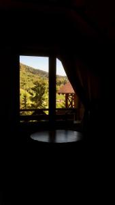 オリアウチックにあるАляскаの山の景色を望む窓付きの暗い部屋