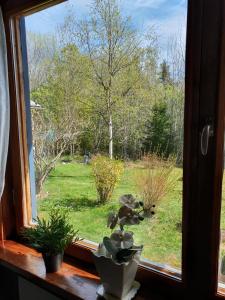 Fotografie z fotogalerie ubytování Schnieders2German forest room v destinaci Harmånger