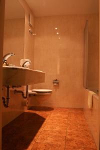 a bathroom with a sink and a toilet and a shower at Landhotel Hallnberg in Walpertskirchen