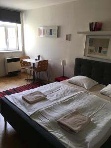 Postel nebo postele na pokoji v ubytování Cosy Studio apartment near Florenc in Prague