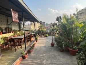 Zahrada ubytování Holy Land Hotel Nepal
