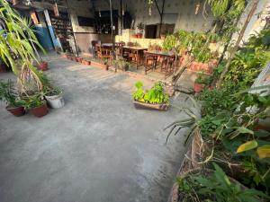 Zahrada ubytování Holy Land Hotel Nepal