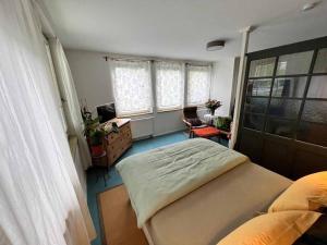 ein Schlafzimmer mit einem Bett und zwei Fenstern in der Unterkunft Appartement Sandsteig 1 in Grafenau