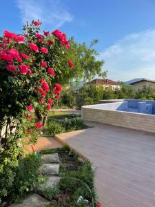 a garden with red roses and a swimming pool at Villa Nilić in Bar