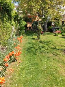 Zahrada ubytování Pension Beránek + 27 fotografií