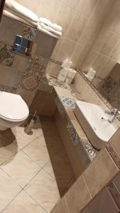 La salle de bains est pourvue de toilettes et d'un lavabo. dans l'établissement Hotel Astoria City Center, à Iaşi