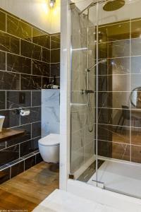 y baño con ducha y aseo. en Les Vendangettes, en Gevrey-Chambertin