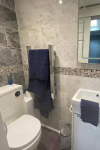 a bathroom with a toilet and a blue towel at Stylish ground floor conversion near Bath and Priston with outstanding views in Priston