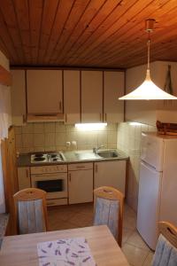 Kuchyň nebo kuchyňský kout v ubytování Vineyard cottage Kolpa Zupančič