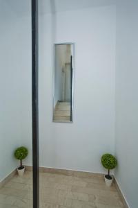 um espelho numa parede com dois vasos de plantas em Sweet Dreams Old Town Hvar em Hvar