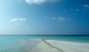 a sandy beach with the ocean and the sky at Sunset Beach View in Dhangethi