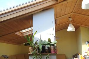 a room with a wooden ceiling with potted plants at Hostel Curavacas in Triollo