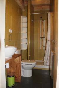 uma casa de banho com um WC, um lavatório e um chuveiro em Hostel Curavacas em Triollo
