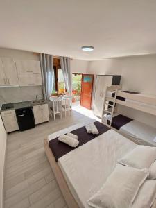 Gallery image of Sunny guest house in Vlorë