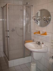 ein Bad mit einer Dusche und einem Waschbecken in der Unterkunft Apartment Lieserpfad-Wittlich in Wittlich