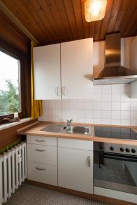 uma cozinha com armários brancos, um lavatório e uma janela em Ferienwohnungen Casa Ri(e)sig em Leiwen