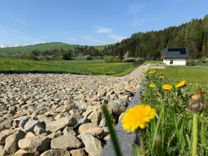 a gravel road with flowers and a building in the background at DOBRE MIEJSCE in Niedzica