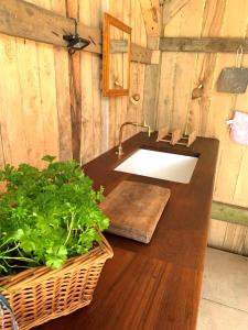 ein Badezimmer mit einem Waschbecken in einer Holzwand in der Unterkunft Genuine Gypsy Hut and Glamping Experience - In the Heart of Cornwall in Gunnislake