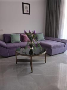 sala de estar con sofá púrpura y mesa en Apartament Gabriella's Home, en Oradea