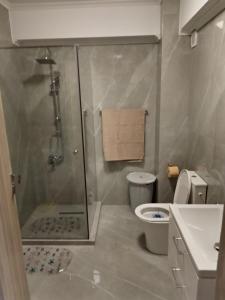 y baño con ducha, aseo y lavamanos. en Apartament Gabriella's Home, en Oradea