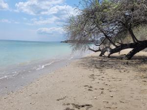 Kép Via del Mare - Kaliakria resort, Topola BG szállásáról Topolában a galériában