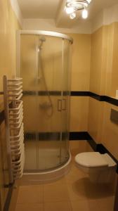 un bagno con doccia in vetro e WC di Hotel Stary Młyn a Suchedniów