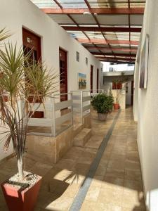 a hallway with potted plants in a building at Pousada Nossa Casa in Maceió +26 photos