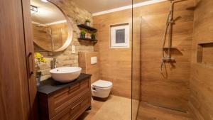 a bathroom with a sink and a toilet and a shower at Holiday Home Lino in Brod Moravice