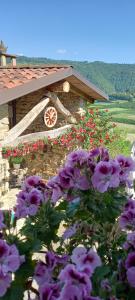 Nespecifikovaný výhled na hory nebo výhled na hory při pohledu z bed and breakfast