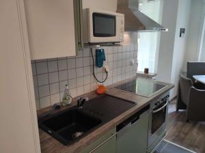 een keuken met een wastafel en een magnetron bij Ferienwohnung Bergwiese 20 in Bad Harzburg