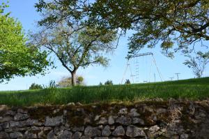 a tree on a hill next to a stone wall at Villa du Cerf Thibault in Le Blanc