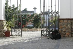 Fotografie z fotogalerie ubytování El Fogón del Duende v destinaci Arcos de la Frontera