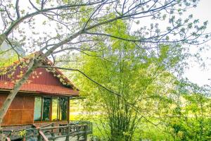 Un jardín fuera de Lotus Field Homestay