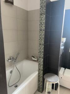 Kúpeľňa v ubytovaní Apartament Centrum Msciwoja