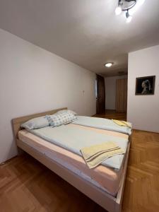 a bedroom with a bed in a room at Villa ''M&A'' in Sarajevo