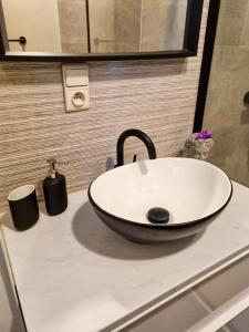 a bathroom sink with a large bowl sink at Maison Noordburg Veurne in Veurne