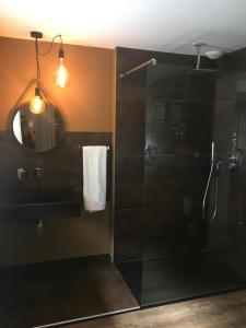 a bathroom with a shower and a sink and a mirror at Ô Lit' Chi in Hermillon