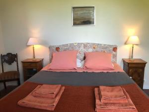 a bedroom with a bed with two pink pillows at Domaine de Montbarri in La Tour-sur-Orb