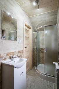 a bathroom with a sink and a shower at Apartamenty u Gabi in Poronin