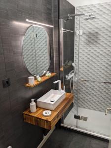 a bathroom with a sink and a shower at Appartement au cœur du centre ville de Blois in Blois